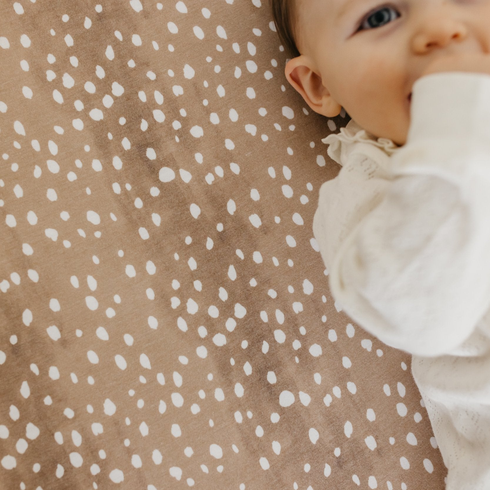 Copper Pearl Premium Knit Fitted Crib Sheet | Fawn